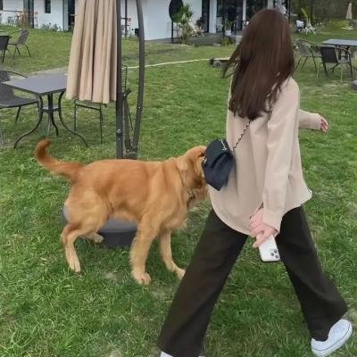 镜中的女孩