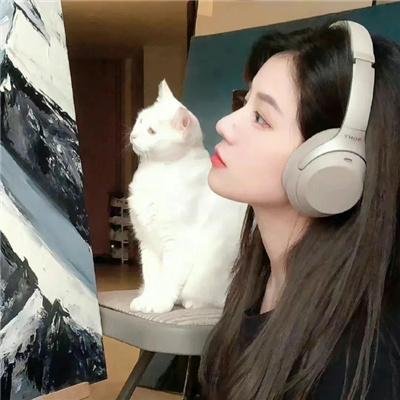 后宫开挂人生